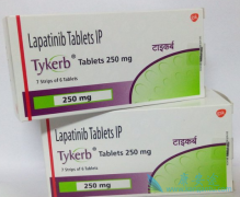 ���ٰ���������������(LAPATINIB)�����õ�ҩ���ƻ���������ҩ��