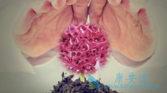 ����ø�����Ƽ�����/��������������ϵͳ�Ժ���Ǵ���