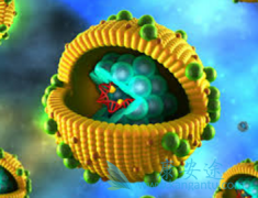 �Ҹο�����ҩ����濨ΤƬ�ǿո����û�����ͷ���