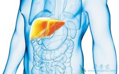 ʲô���Ҹ�ת������β��ܹ�ʹ�Ҹ�ת����