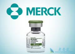 ���߼������Ƽ����ƺ�ɫ������Ч����ô����