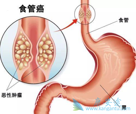 ��ķ����