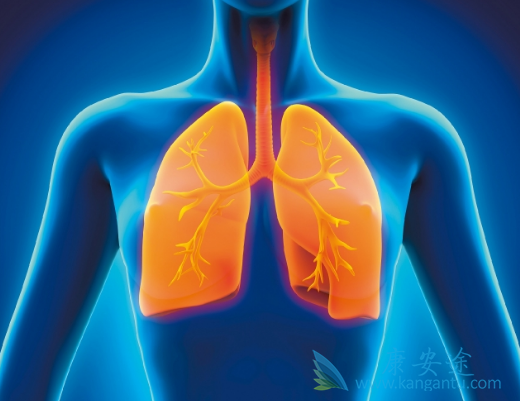 纳武单抗 纳武单抗