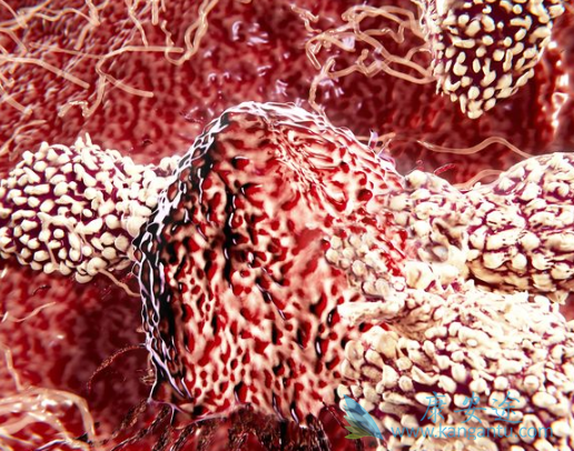 奥希替尼 奥希替尼