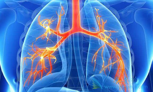 阿法替尼 阿法替尼