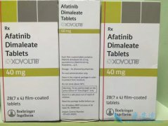 ��������(AFATINIB)����EGFR�ΰ�ͻ��Ȼ��Ʒ�������Ч