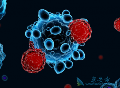 CAR-T�Ʒ����ٴ����������봫ͳҩ�ﲻͬ