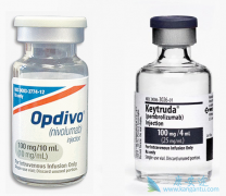 ����PD-1�����⻹����Щ�ΰ��������Ʒ�����