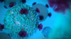 CAR-T���Ʒ��������ļ�������ɣ�һ����Ҫ����Ǯ��