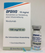 ����ϸ����Ӱ��PD-1���Ƽ��������ٰ�����Ч