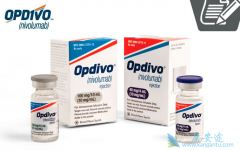 ��֢�����Ʒ�PD-1���Ƽ�Opdivo�����׼����Сϸ���ΰ�����