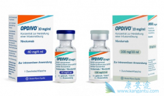 PD-1���Ƽ�Oҩ�ܹ���������ҹ���Сϸ���ΰ����ߵ�����������