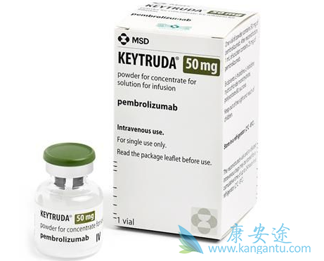 PD-1抑制剂 PD-1抑制剂