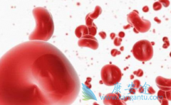 ʩ����/��ɳ����Ƭ��������������������Ч��