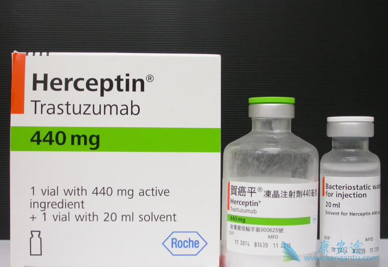 HER2抑制剂 HER2抑制剂