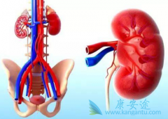 ��������з�������ҩ�ﰢ������(axitinib)����һ�����е�