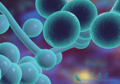 ��������(trametinib)�ܷ����ڿ�ǻ��״ϸ��������