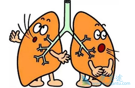 �ط��Է���ά��