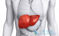 ���ڶ���Ҹ����Ʒ��������ָ��ʺϻ��߳������ƣ�