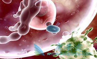 ����ŵ��