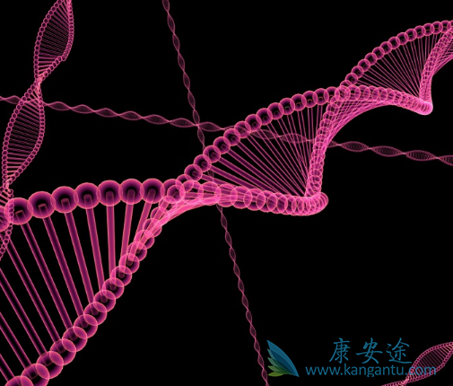 ����ŵ��