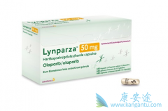 �����������������ᣩҲ�����ڽ��ܹ����ƻ����Ʒ���ǰ�а�����