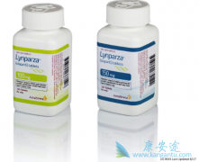 ���ٰ����߿���ʹ����ҩPARP���Ƽ������������������ᣩ������