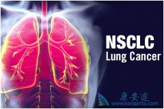 ����Щ����ҩ�����������Ʒ�Сϸ���ΰ�