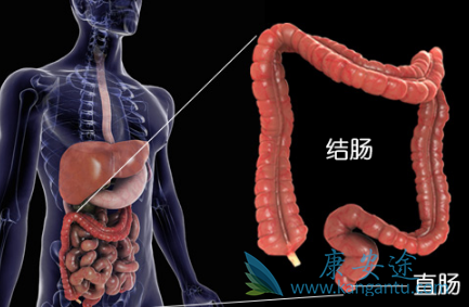 ��Ī«����