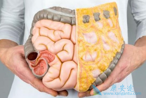 瑞格菲尼 瑞格菲尼