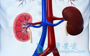 舒尼替尼 舒尼替尼