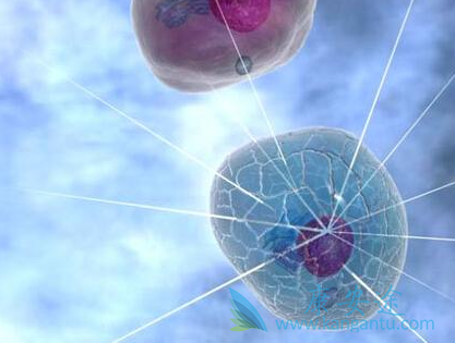 依鲁替尼 依鲁替尼