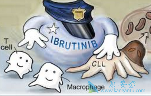 ��³����