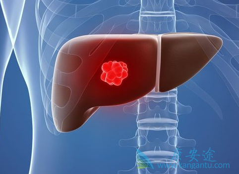 �ַ�����