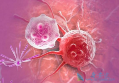 ��������/���Լױ�������Ż����������Ʒ��۰�����