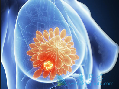 ��Ī����