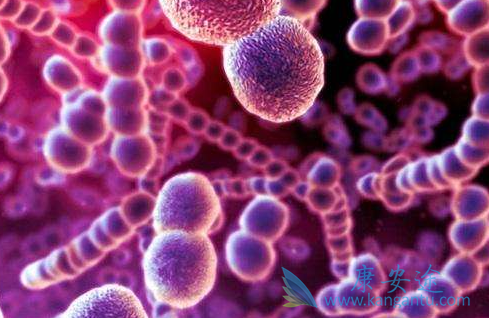 ��Ī����