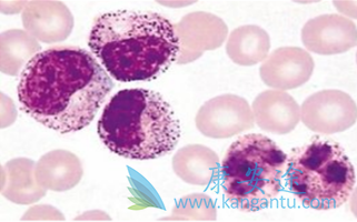 雷利米得 雷利米得