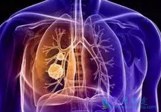 ��ϣ����