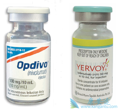 ��ɫ����