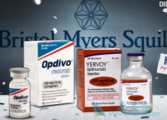 PD-1���Ƽ�Opdivo����Yervoy���ƺ�ɫ��������������