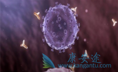 ��������(Bevacizumab)���ӻ�TKI����ҩ��ҩ����