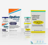 PD-1���Ƽ�Opdivo��Yervoy��Ŀǰ���ȵ������Ʒ�