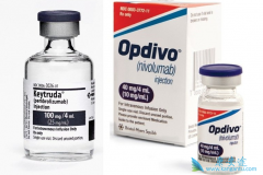 PD-1���Ƽ��ܷ��а�������������������֯������