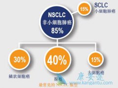 Сϸ���ΰ������֢״���ֶ�����Щ