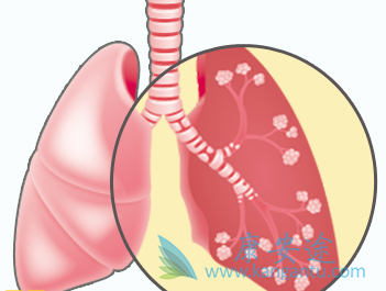 ����ά��