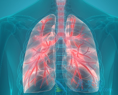 ������ͪ