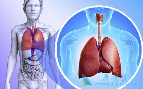 �ΰ����Ƹ�����