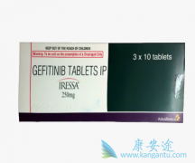 Capmatinib���ϼ�����������EGFR-TKIҩ����ҩ�Ļ���Ч��