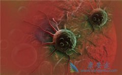 ��֢���Ŵ�����Щ��֢�Ŵ����ʱȽϴ�